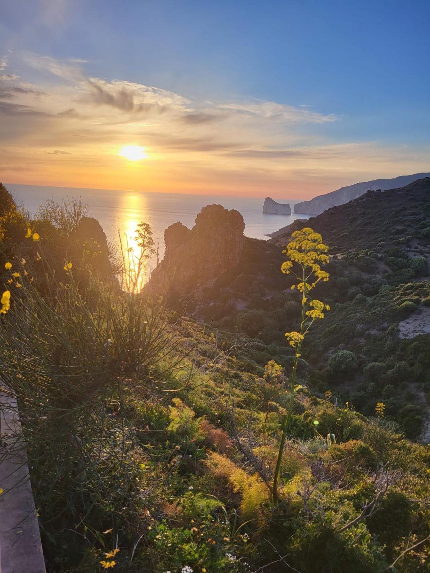 Casa Vacanze Shardana Иглесиас Экстерьер фото